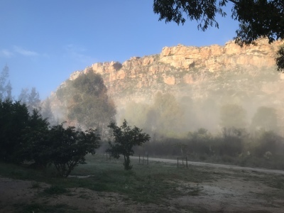 f0362263_16202685.jpeg