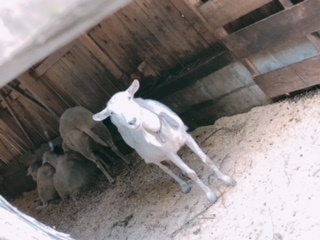 e0202773_23265118.jpg