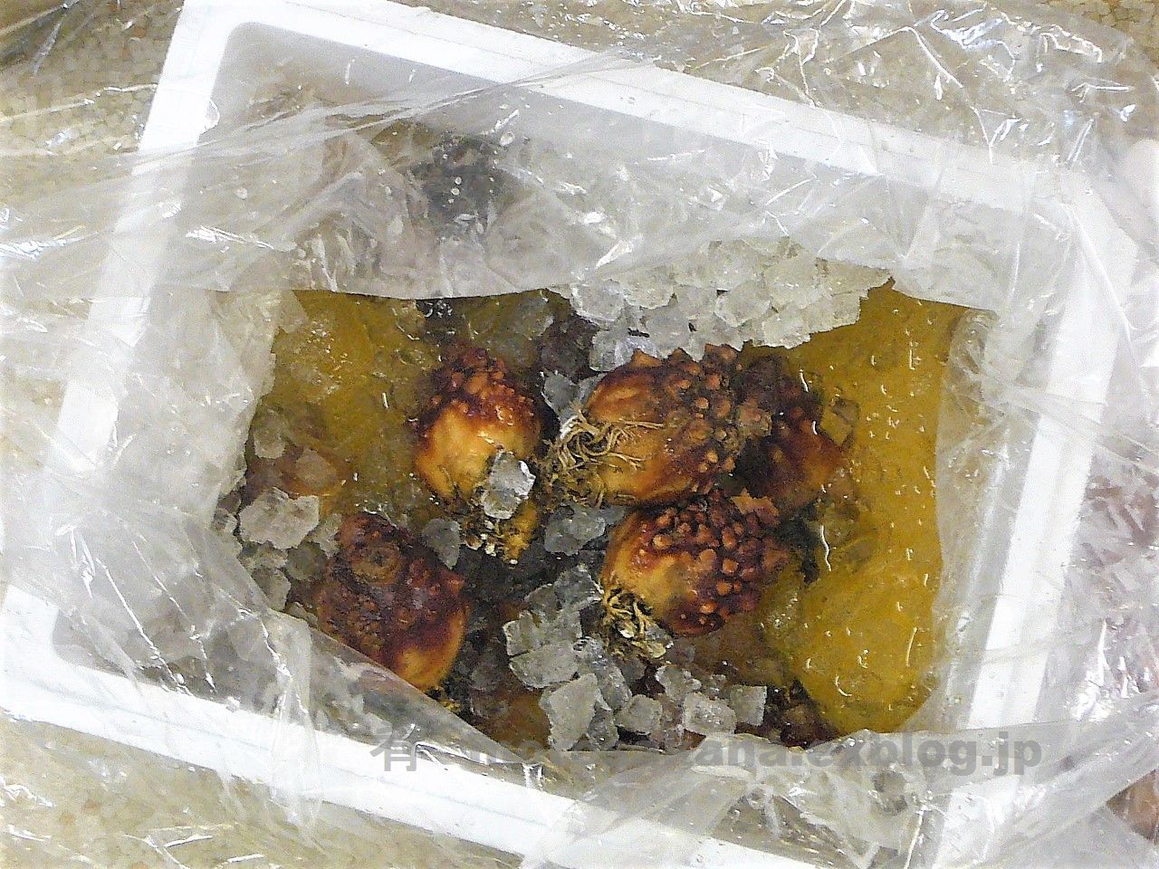 f0371674_14351167.jpg