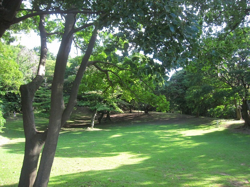 e0374581_16420824.jpg