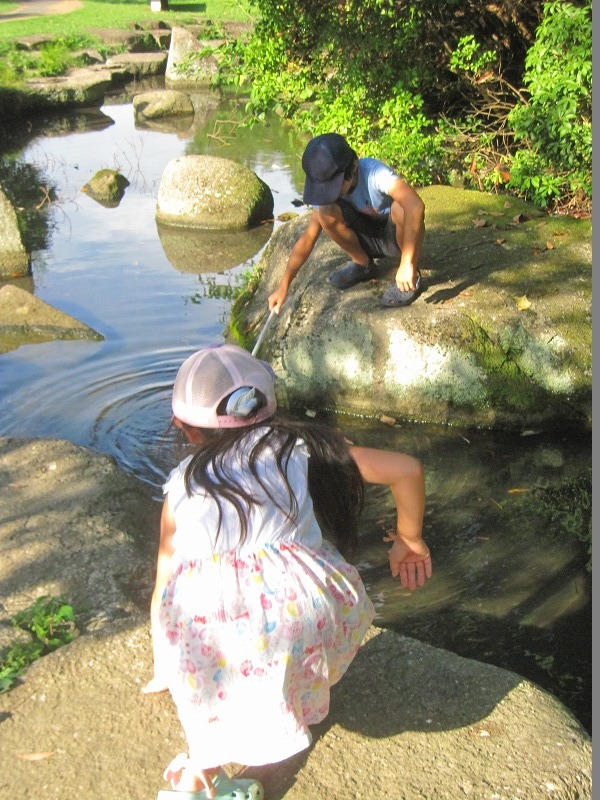 Daily Diary【7/29-8/4】ブヨ刺されの治療、ハーバリウム体験、今年もウォーターイベント、町内会の夏祭り2年目_e0374581_16442396.jpg