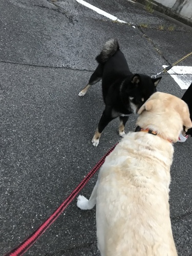 f0315081_22374220.jpeg