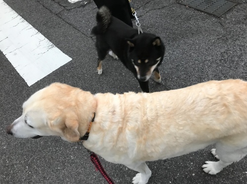 f0315081_22383403.jpeg