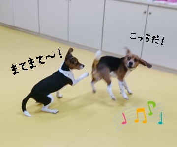 なかよし♪_f0357682_11472817.jpg