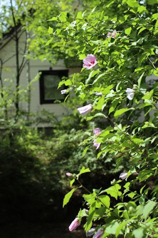 c0090198_16215860.jpg