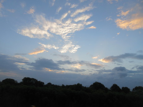 a0203003_20020204.jpg