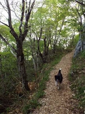 四国カルスト『天狗荘』①（２０１８．５．１１～１２ ） : かおりんの 