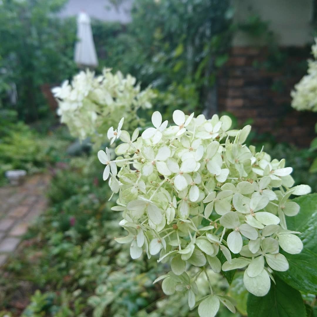 b0345108_23394195.jpg