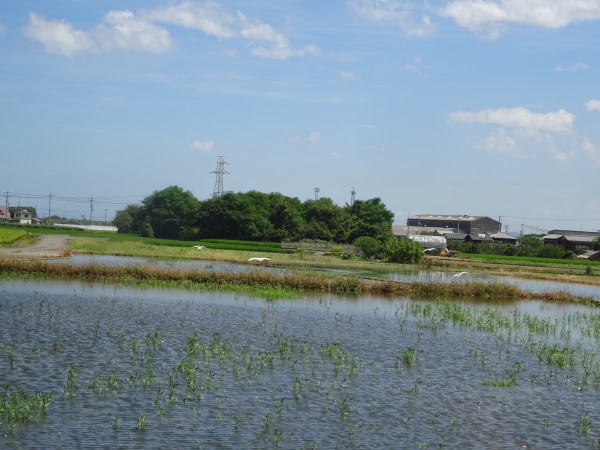 f0231709_19371142.jpg