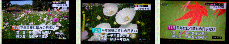 f0231709_19472585.gif