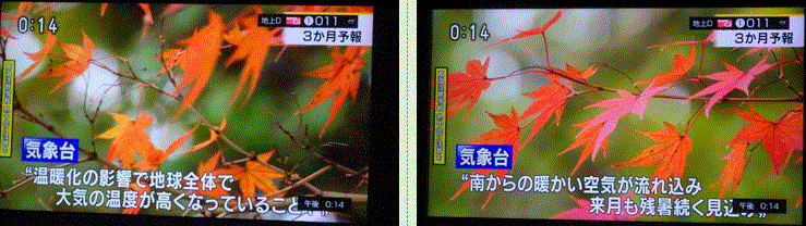 f0231709_19474179.gif