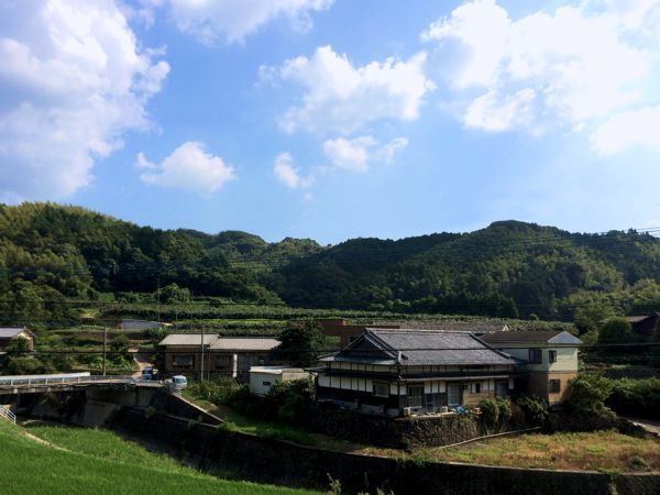 里山狭小house「キウイ畑を望むみかんhouse」完成見学会のお知らせです♪_e0029115_17355437.jpg