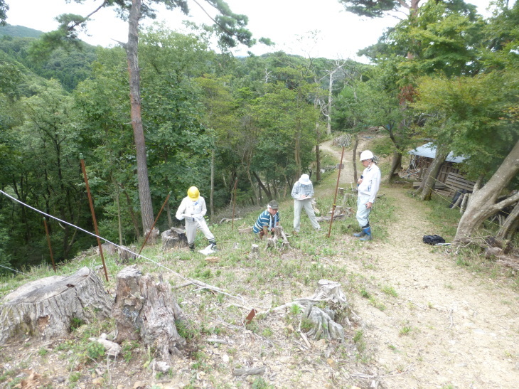 d0024426_09253549.jpg