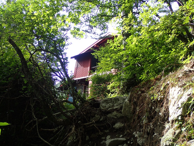 e0284726_63338.jpg