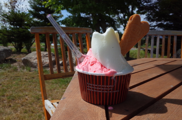 ジェラート工房 丘のミルジェ　北海道上川郡美瑛町/ジェラート カフェ 牧場～実家へ帰らせていただきます 2日目 その6_a0287336_20412193.jpg