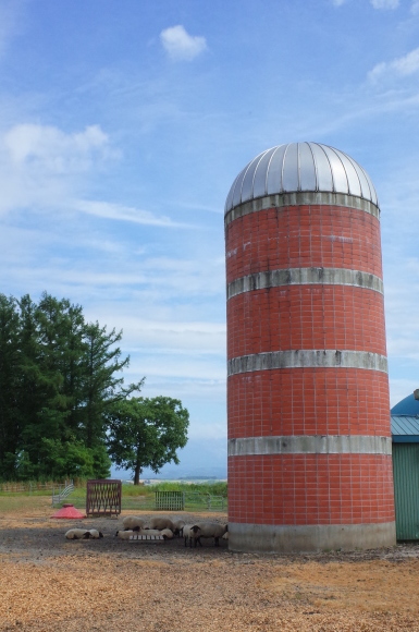 ジェラート工房 丘のミルジェ　北海道上川郡美瑛町/ジェラート カフェ 牧場～実家へ帰らせていただきます 2日目 その6_a0287336_20422900.jpg