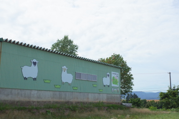 ジェラート工房 丘のミルジェ　北海道上川郡美瑛町/ジェラート カフェ 牧場～実家へ帰らせていただきます 2日目 その6_a0287336_20433569.jpg