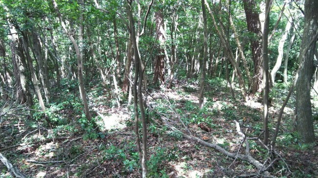 c0077338_17541777.jpg