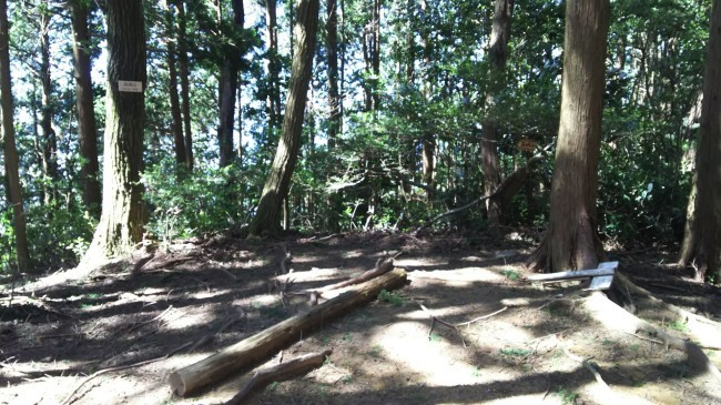 c0077338_17542989.jpg