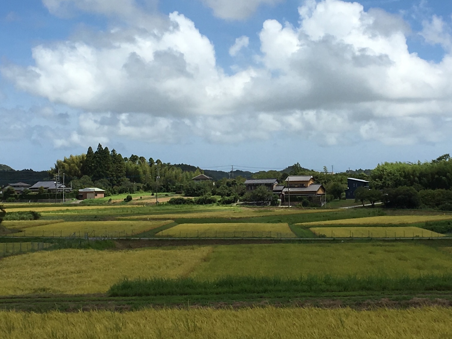 b0330040_15192293.jpeg