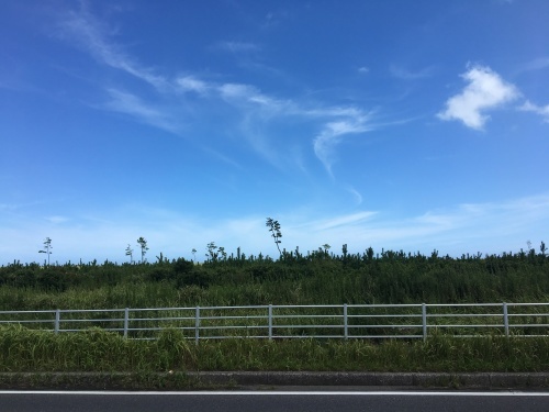 b0330040_15212185.jpeg