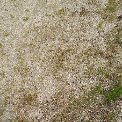 c0038742_16350252.jpg