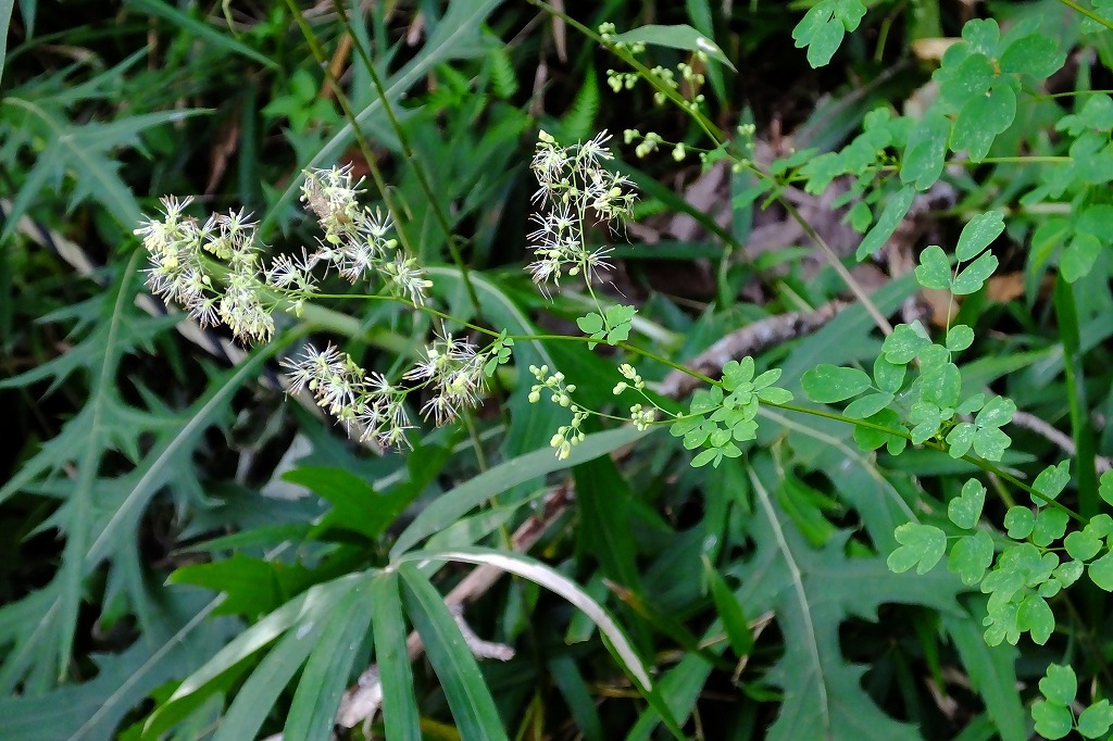b0236251_13433898.jpg