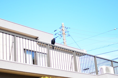 再貧血10日目_f0044853_20195657.jpg