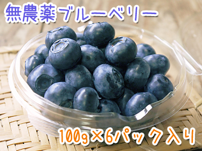 熊本県菊池水源産の無農薬で育てた『フレッシュブルーベリー』の新規販売に向けて!_a0254656_16403697.jpg