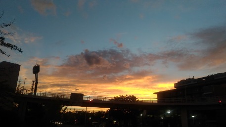c0190960_11312429.jpg