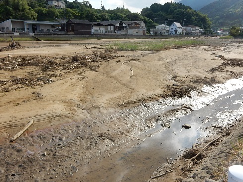 河口の干潟に歩く魚_e0175370_10195758.jpg