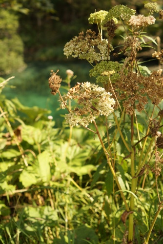 b0176275_20103739.jpeg