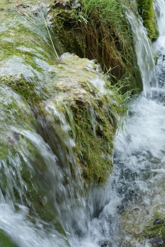 b0176275_20113430.jpeg