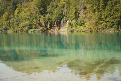 b0176275_20154632.jpeg