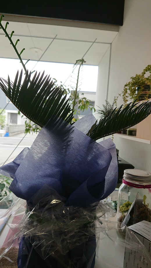 f0172281_6463531.jpg