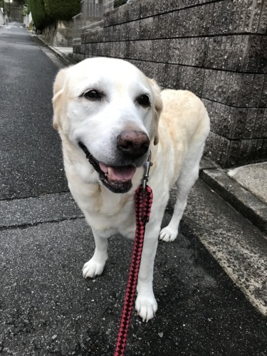 f0315081_20164415.jpeg