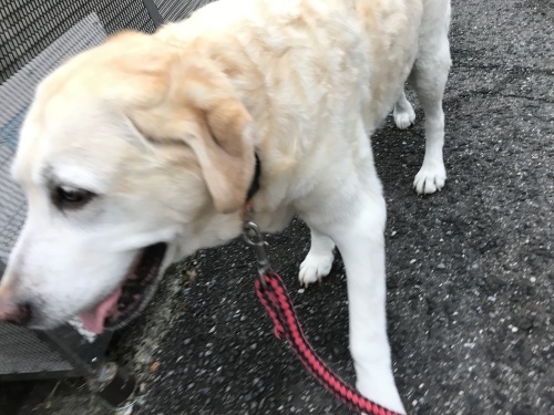 f0315081_20173243.jpeg