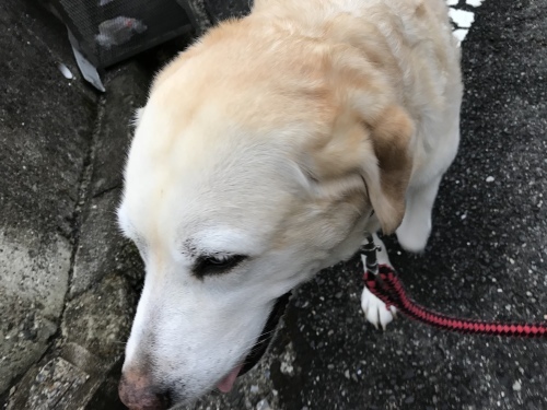 f0315081_20180708.jpeg