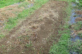 f0003283_09011300.jpg