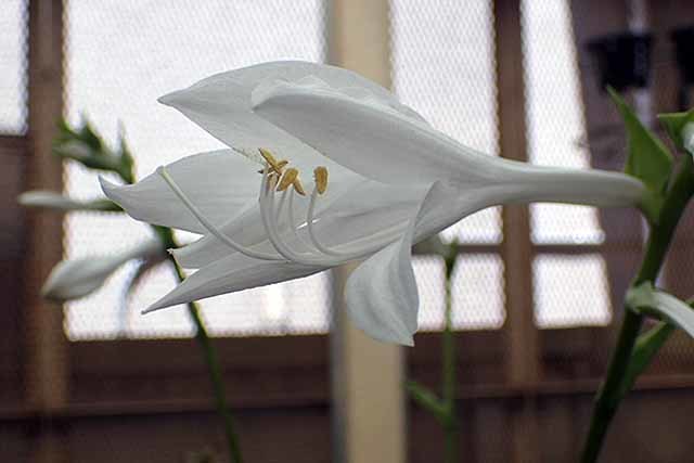 e0363198_17283559.jpg