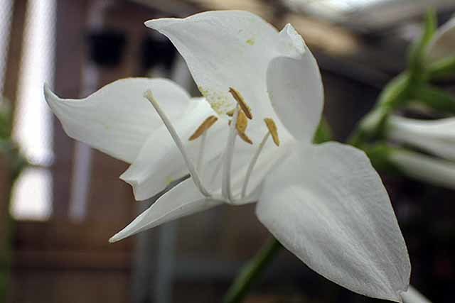 e0363198_17283595.jpg