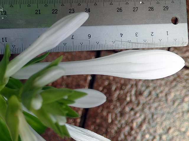 e0363198_17283599.jpg