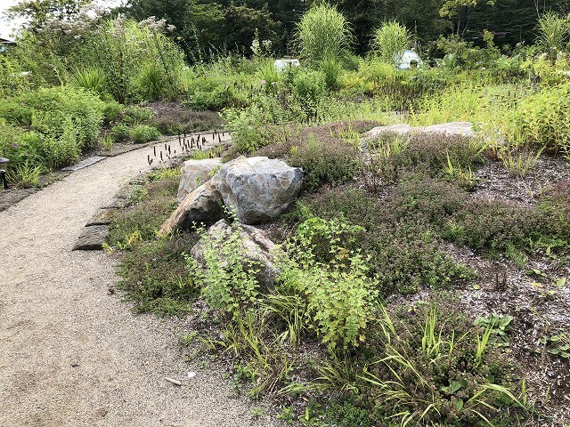 8月15日 萌木の村④_c0124100_18534769.jpg