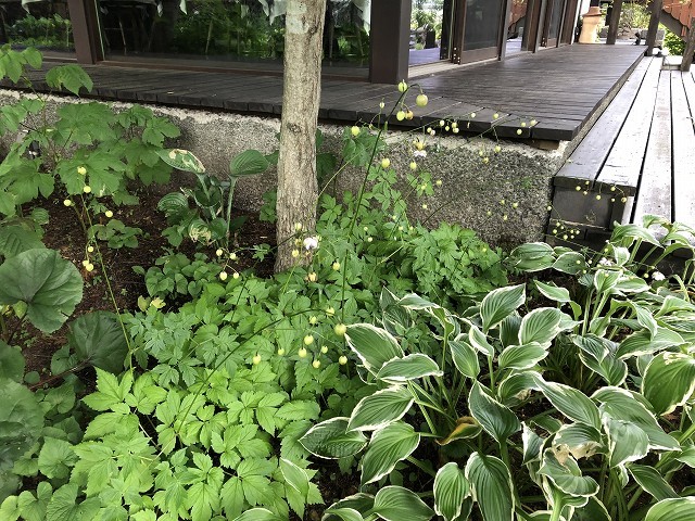 8月15日 萌木の村④_c0124100_18535898.jpg