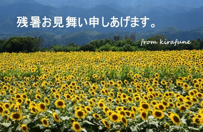 a0169902_15483219.jpg