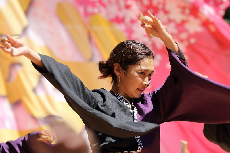 原宿表参道元気祭、スーパーよさこい2018 (関東学院大学、誇咲)_b0291402_04391636.jpg