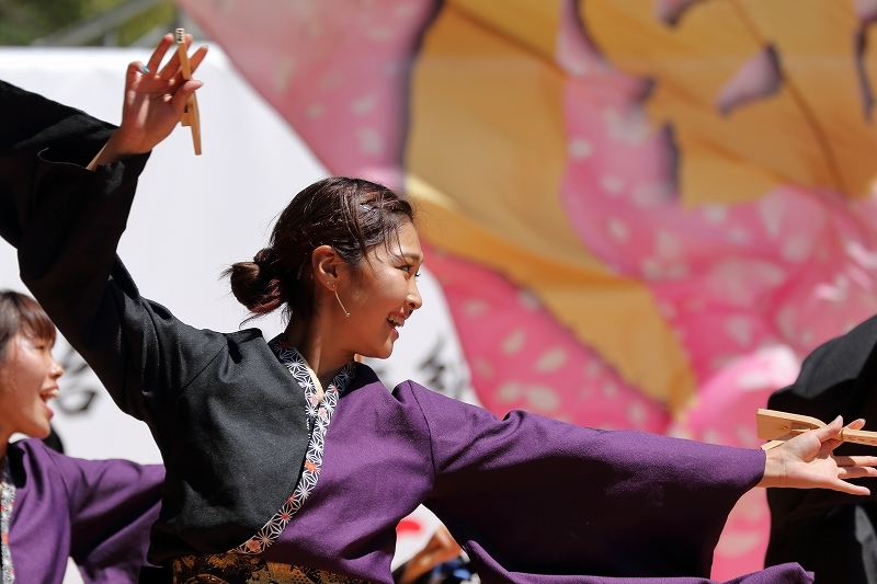 原宿表参道元気祭、スーパーよさこい2018 (関東学院大学、誇咲)_b0291402_04393985.jpg