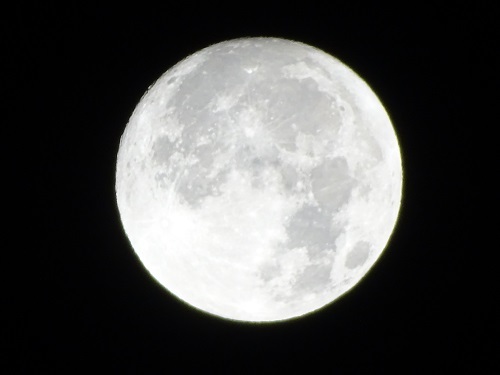 e0360409_16223676.jpg