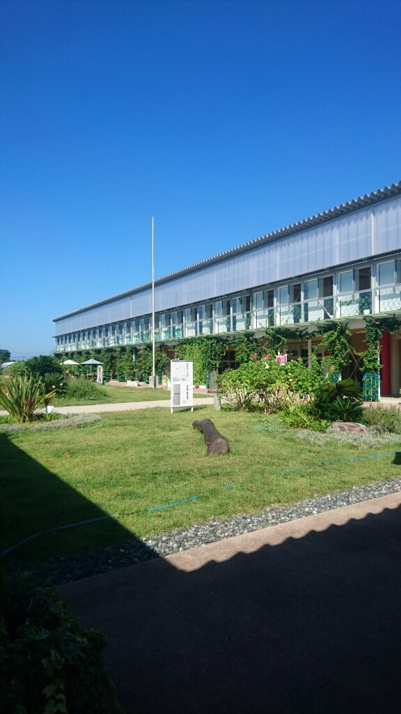 e0058913_08483775.jpg