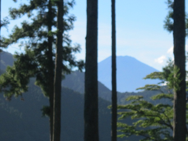 d0162225_15071646.jpg